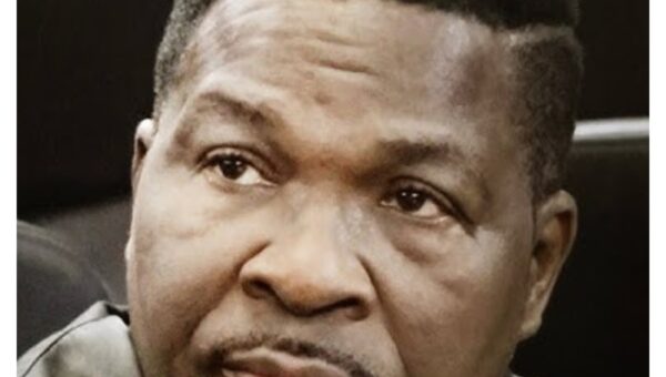 BREAKING: LPPC suspends Mike Ozekhome’s SAN rank