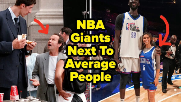 NBA Giants Standing Next To Average People Will Break Your Brain