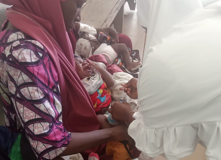 Adamawa conducts mop-up vaccination for zero-dose, under-immunised children