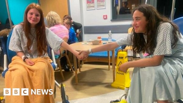 ‘Little hero’ rescued drowning friend from the sea by her hair