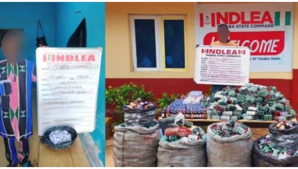 NDLEA Intercepts Over 320,000 Tramadol Capsules Hidden in Building Materials, Arrests 75-Year-Old Suspect