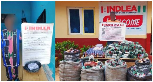 NDLEA Intercepts Over 320,000 Tramadol Capsules Hidden in Building Materials, Arrests 75-Year-Old Suspect