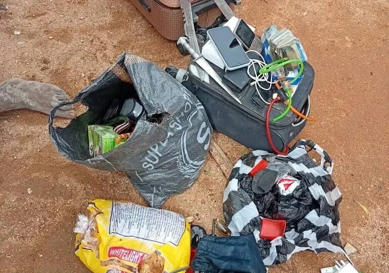 Two robbery suspects on police wanted list arrested in Adamawa