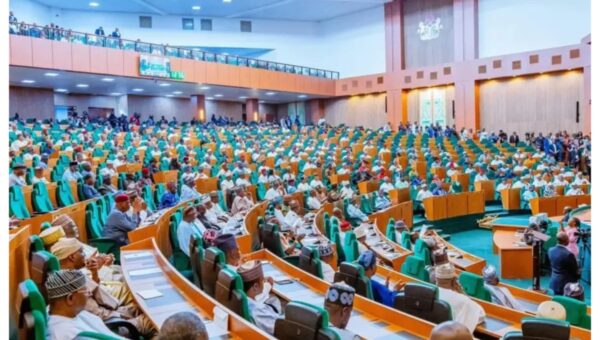 House of Reps adjourns plenary till July