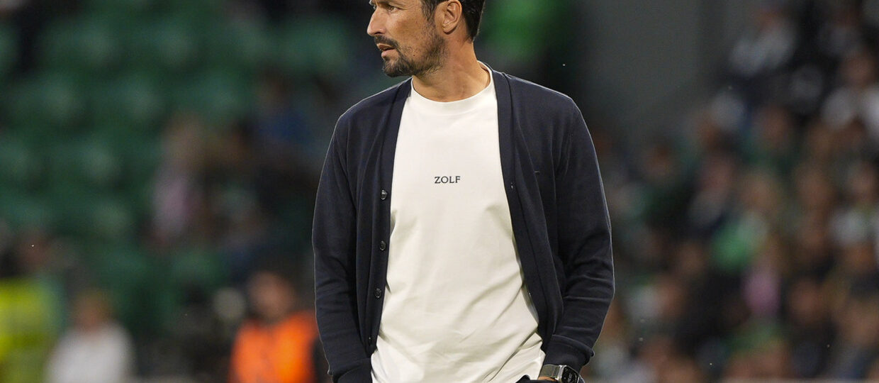 César Peixoto to replace Rob Edwards at Wolves