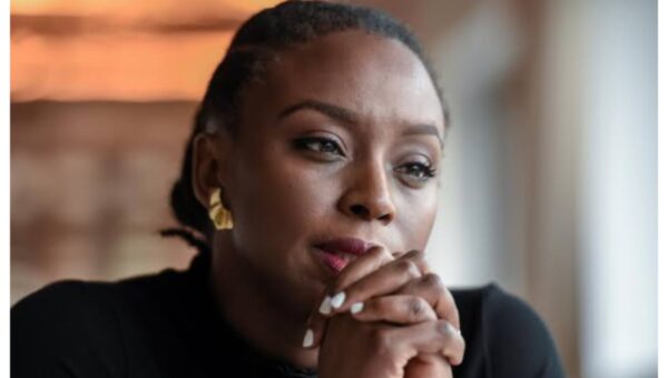 They’ve robbed me of peace – Chimamanda Adichie accuses Euracare of obstructing inquest over son’s death