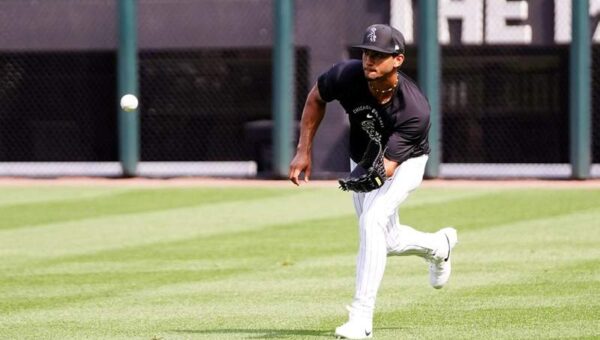 White Sox rookie becomes fifth player in MLB history to achieve remarkable home run feat