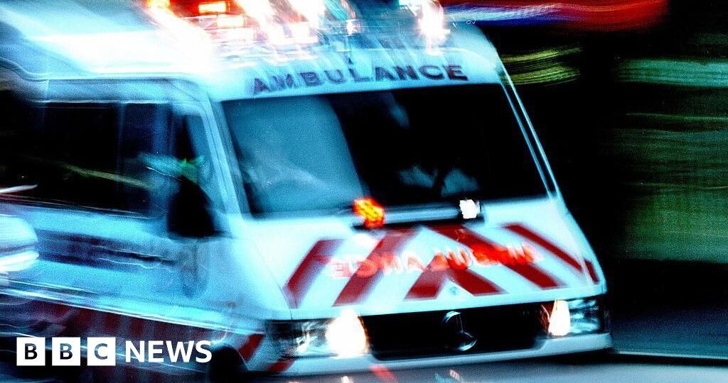 11 skydivers and pilot killed in plane crash