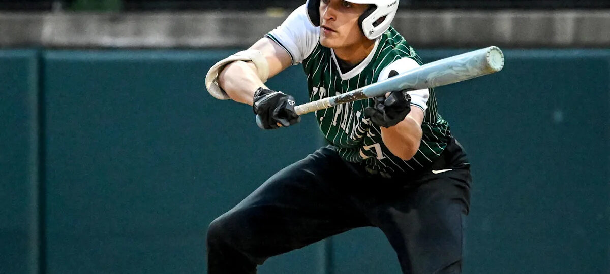 MHSAA baseball roundup: Portland St. Patrick, Williamston fall in quarterfinals