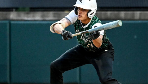 MHSAA baseball roundup: Portland St. Patrick, Williamston fall in quarterfinals