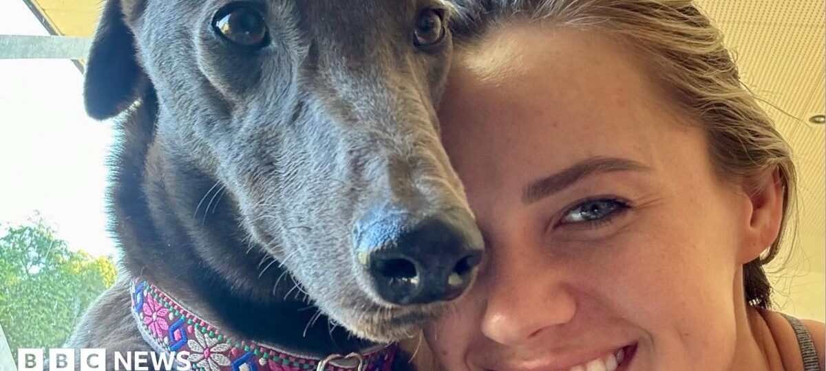 Greyhound who refuses to race finds new home in US