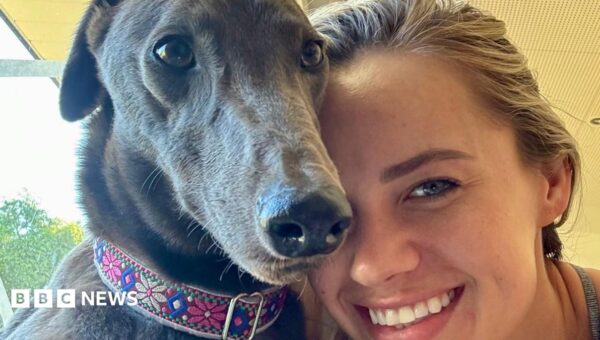 Greyhound who refuses to race finds new home in US