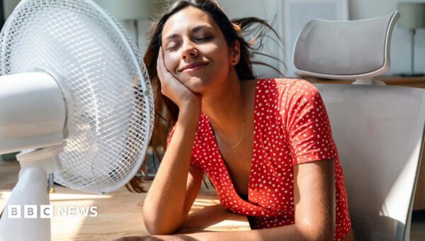 Tips to keep your home and yourself cool in hot weather