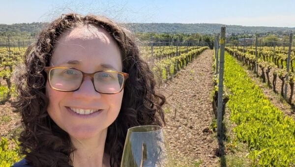 I'm a certified sommelier. These 4 underrated European wine regions belong on your travel bucket list.
