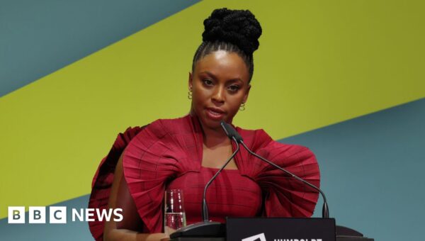 Nigerian author accuses hospital of stalling review into her son's death
