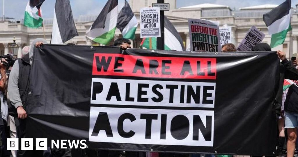 Palestine Action ban is lawful, Court of Appeal rules