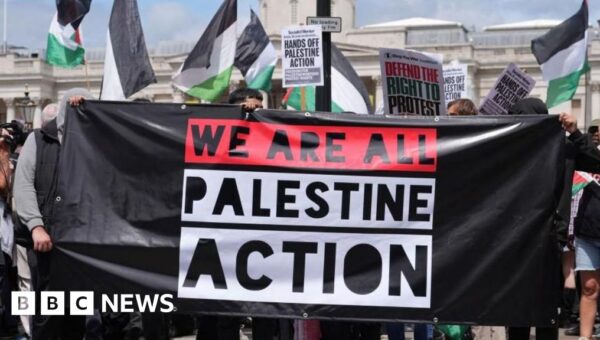 Palestine Action ban is lawful, Court of Appeal rules