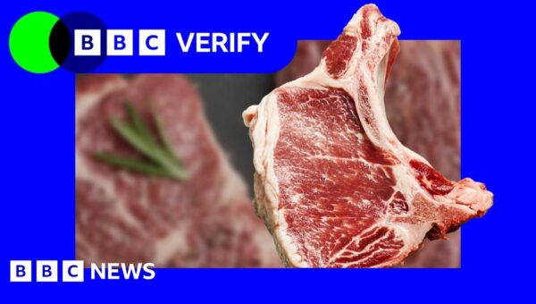 No, there’s no plot to make you allergic to meat