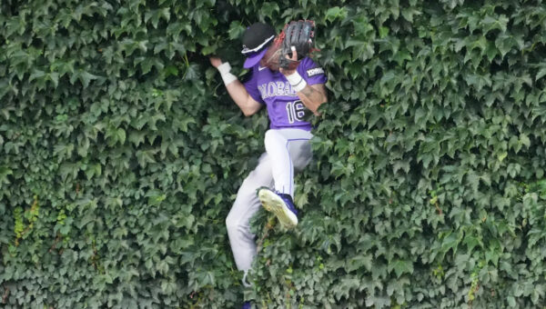 Purple Row After Dark: Which Colorado Rockie has most surprised you this season?