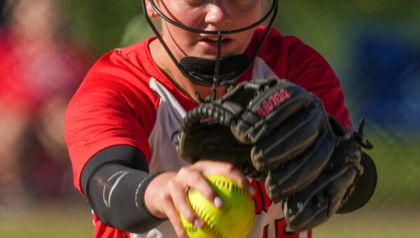 ‘She is the heart of the team’: Hogan sends Tigers to D4 title game