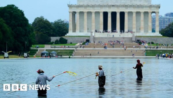 Former Olympian denies vandalising Washington Reflecting Pool after arrest