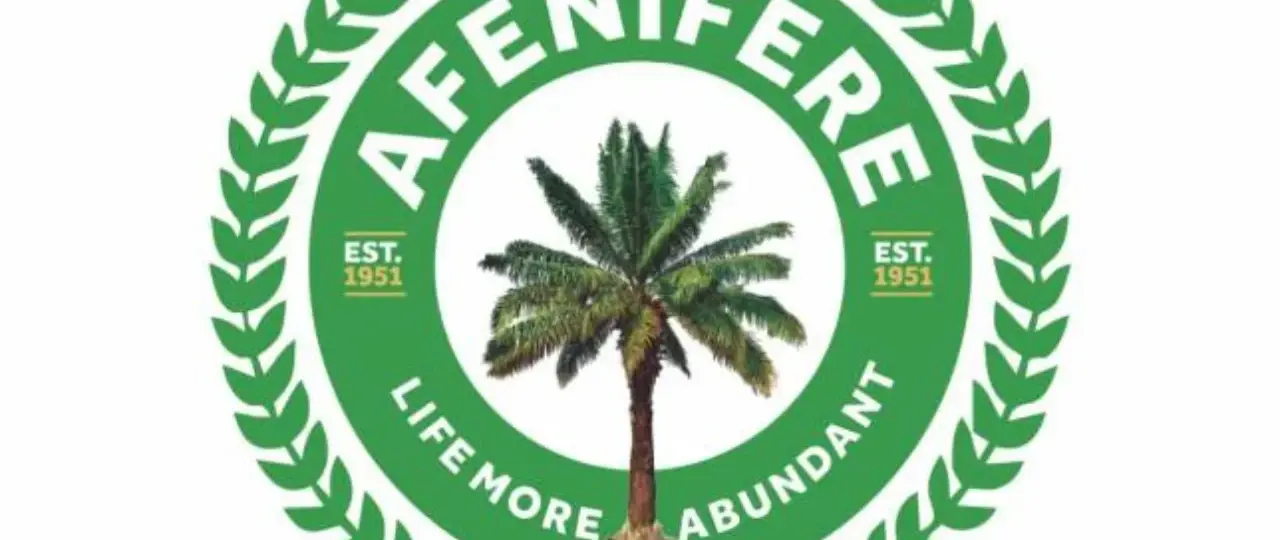 Failure of Northerners to tackle banditry is creating problems for all Nigerians – Afenifere
