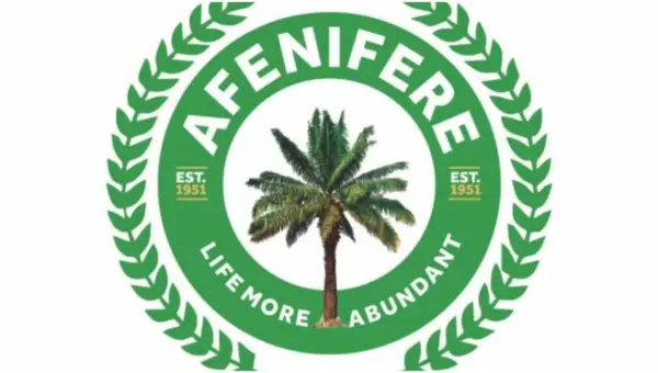 Failure of Northerners to tackle banditry is creating problems for all Nigerians – Afenifere