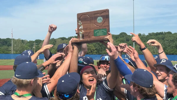 Which central Ohio baseball teams advanced to OHSAA state tournament?