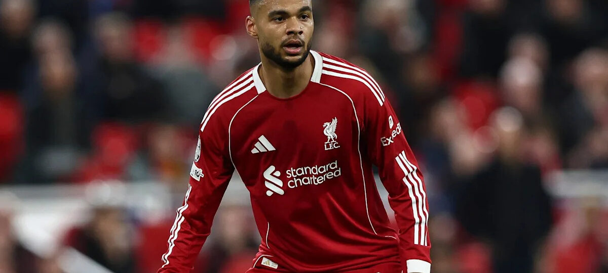 Massive windfall: Cody Gakpo's true price as Tottenham start process to sign Liverpool star