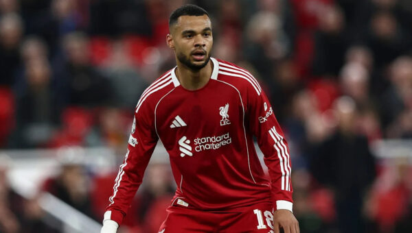 Massive windfall: Cody Gakpo's true price as Tottenham start process to sign Liverpool star