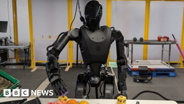 Could humanoid robots be heading for the battlefield?