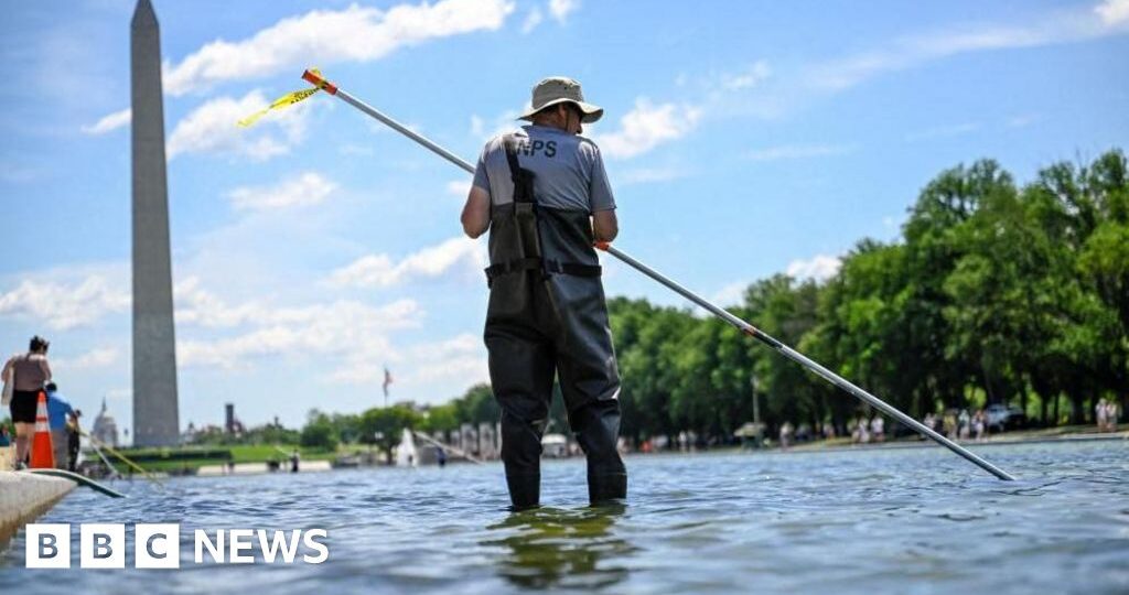 After Trump inspects Reflecting Pool, he says repair work will begin ‘immediately’