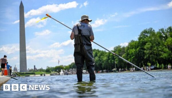 After Trump inspects Reflecting Pool, he says repair work will begin ‘immediately’