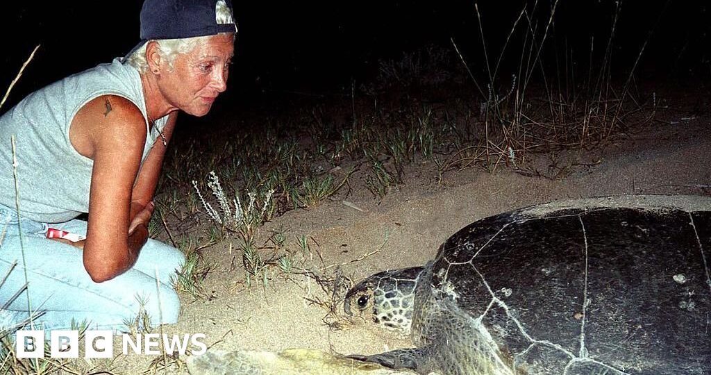 Lebanese turtle conservationist Mona Khalil killed by Israeli strike