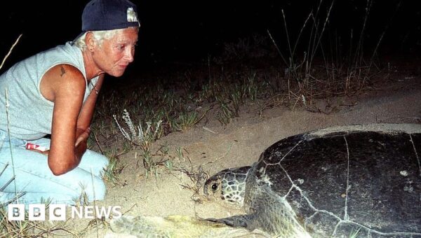Lebanese turtle conservationist Mona Khalil killed by Israeli strike