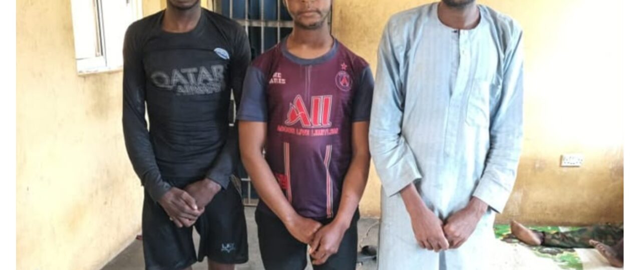Insecurity: Army captures suspected terrorists informants, recovers cash, devices in Niger