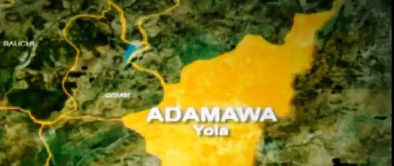 Man arrested for sexually assaulting 13-year-old housegirl in Adamawa