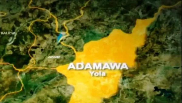 Man arrested for sexually assaulting 13-year-old housegirl in Adamawa