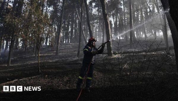 Firefighters struggle to contain deadly Greek wildfire