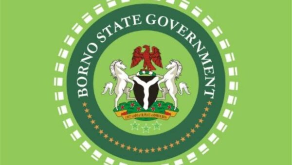 360 abductees freed through military operation, not ransom — Borno govt