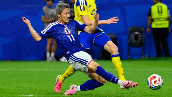 Why World Cup grass will travel hundreds of miles in refrigerated trucks before kickoff