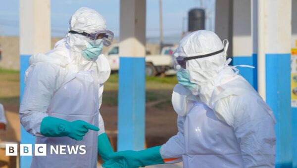 Fall in official Ebola numbers appears to be good news but it’s not that simple
