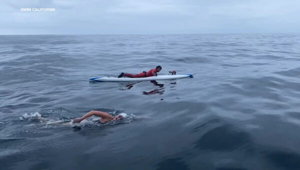 Bay Area swimmer prepares for historic attempt to swim entire California coast