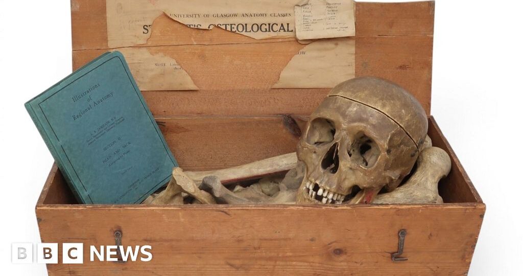 Anita Manning's auction house criticised for offering human remains