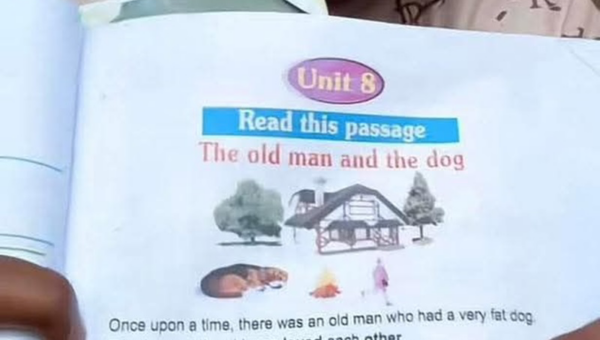 Lagos Government Orders Withdrawal of Controversial Nursery Textbook After Public Outcry