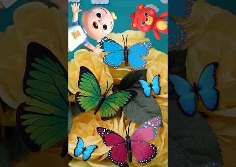 Let’s Learn to Count Butterflies with JJ and Boba Bear! 🦋🦋