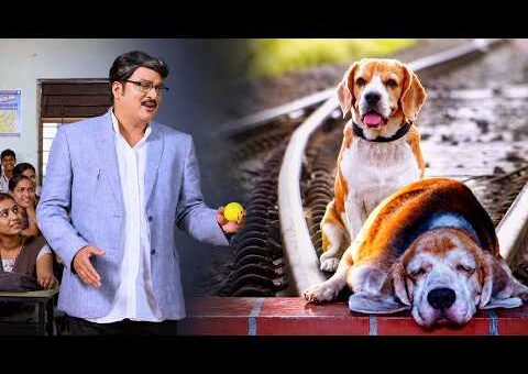 10 साल तक रेलवे स्टेशन पर अपने मरे हुए मालिक का इंतज़ार करता रहा कुत्ता : Dog Tommy दर्द भरा सीन