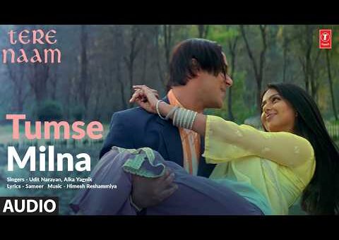 Tumse Milna (Full Audio) | Tere Naam | Salman Khan | Bhoomika | Udit Narayan, Alka Yagnik | Himesh