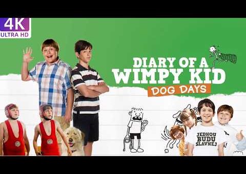 Diary of a Wimpy Kid (2010)Movie || Zachary Gordon, Robert Capron, Devon Bostick || Review And Facts