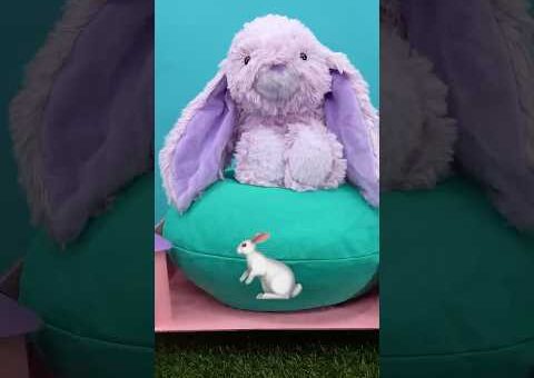 Beautiful Bunny Butterfly Bed! 🦋 Emmie & Princess Butterfly Craft Tutorials And Art Hacks #shorts